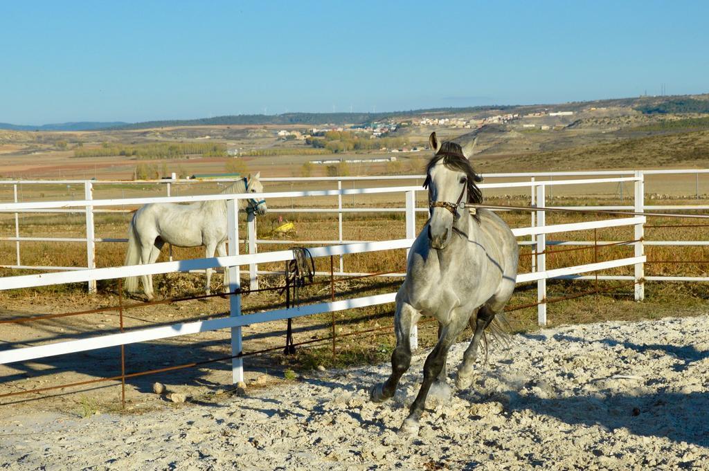 Rural Reillo Alojamientos Rurales ภายนอก รูปภาพ