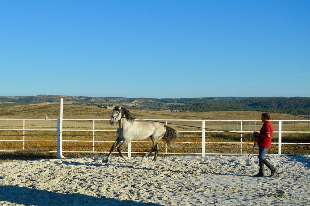 Rural Reillo Alojamientos Rurales ภายนอก รูปภาพ