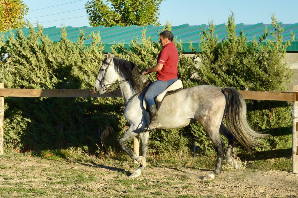 Rural Reillo Alojamientos Rurales ภายนอก รูปภาพ