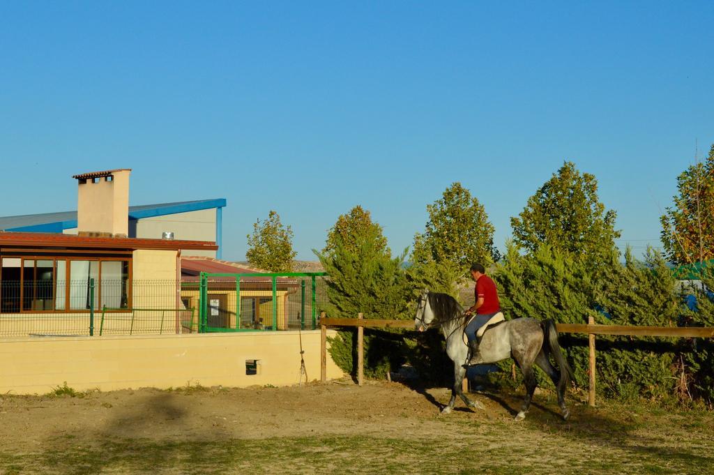 Rural Reillo Alojamientos Rurales ภายนอก รูปภาพ